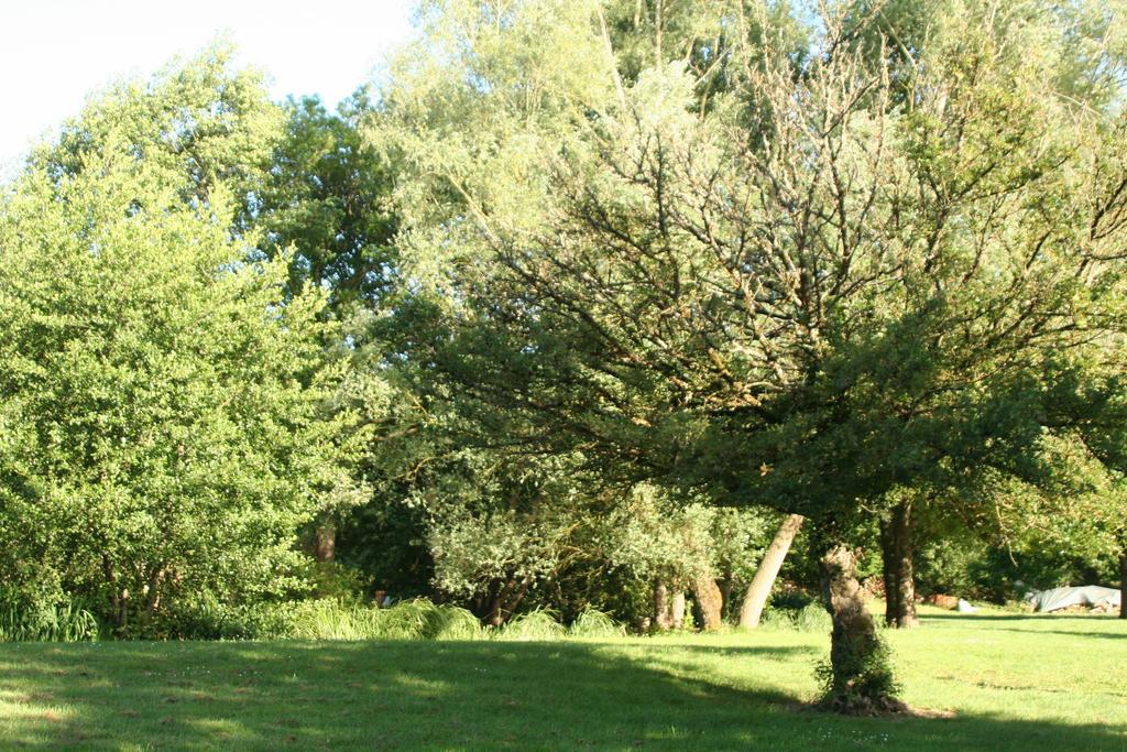 Le Petit Moulin Bed & Breakfast Faverelles Eksteriør bilde