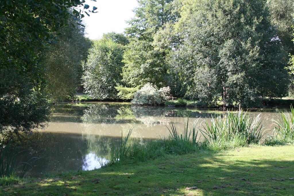 Le Petit Moulin Bed & Breakfast Faverelles Eksteriør bilde